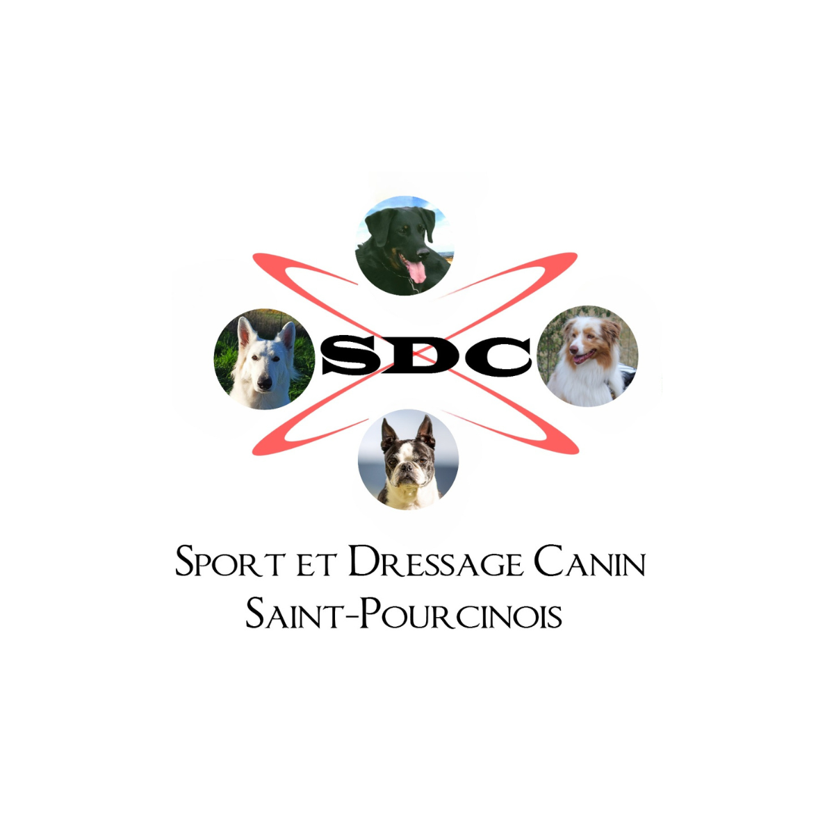 Sport et dressage canin Saint-Pourcinois