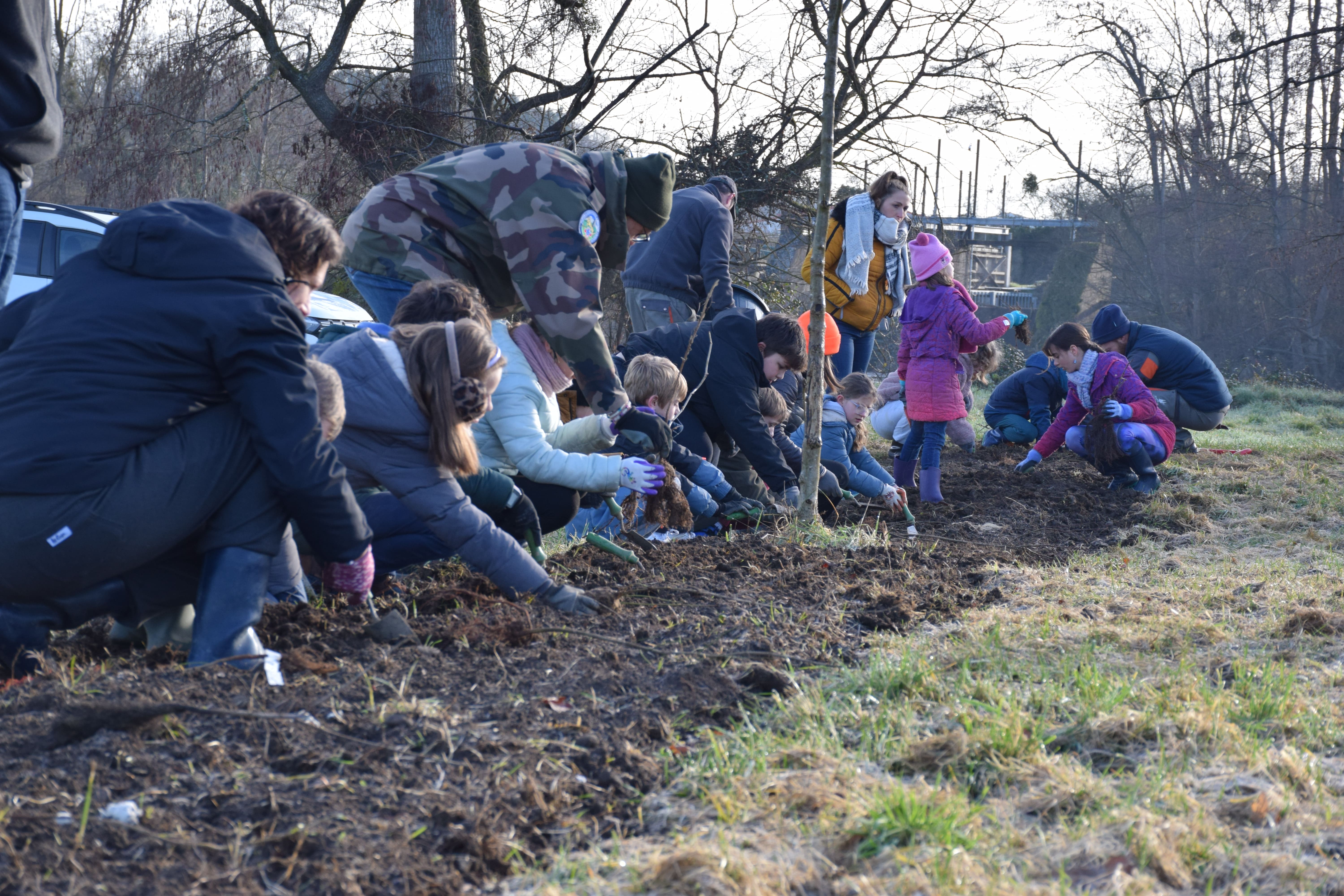 Plantation d&rsquo;une haie aux Cordeliers par le CME